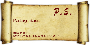 Palay Saul névjegykártya